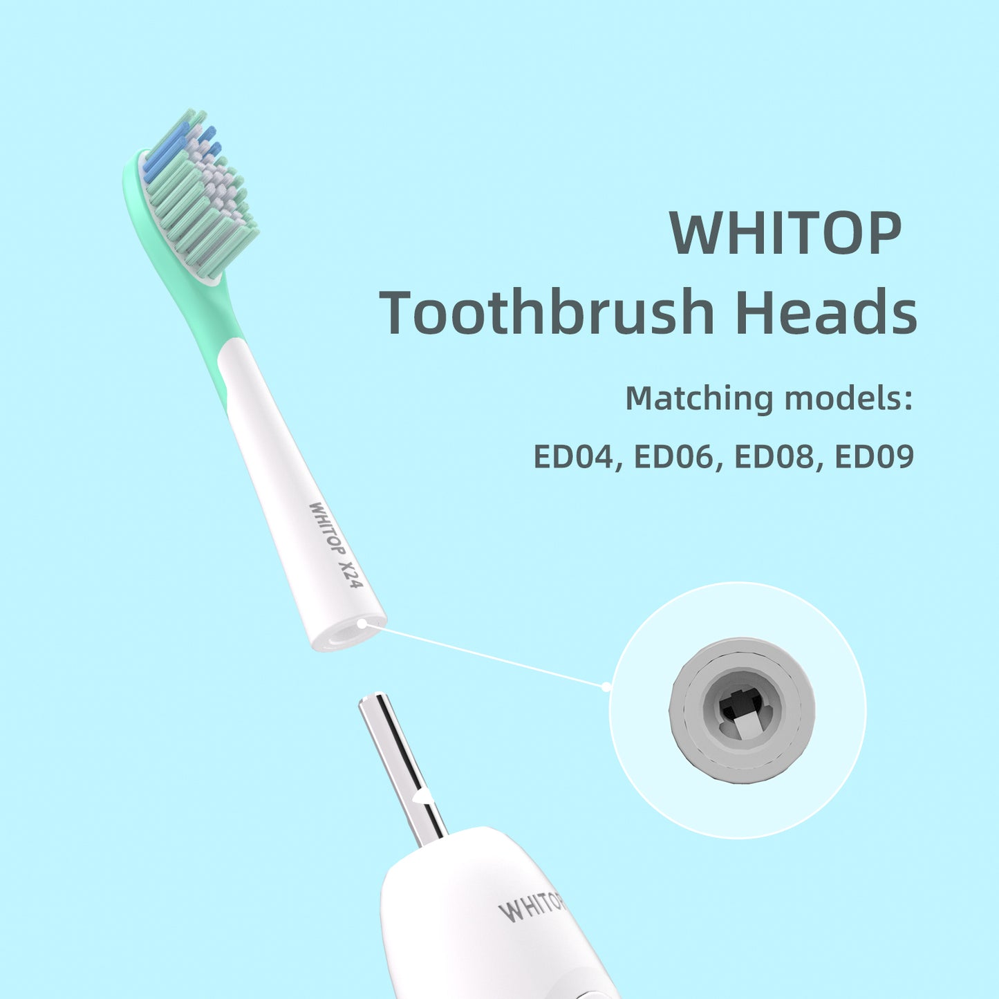 Brush Heads for Teenagers ED04, ED06, ED08, ED09. (Please note whether the model name is the same as your old model before placing an order.)