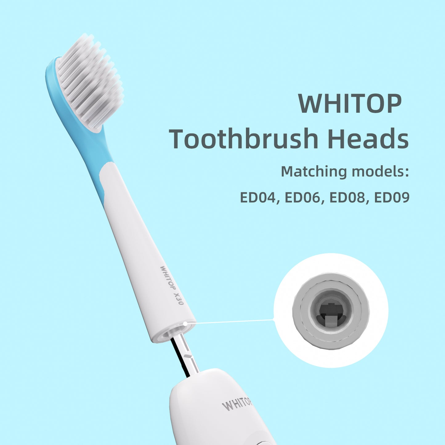 Brush Heads for Teenagers ED04, ED06, ED08, ED09. (Please note whether the model name is the same as your old model before placing an order.)