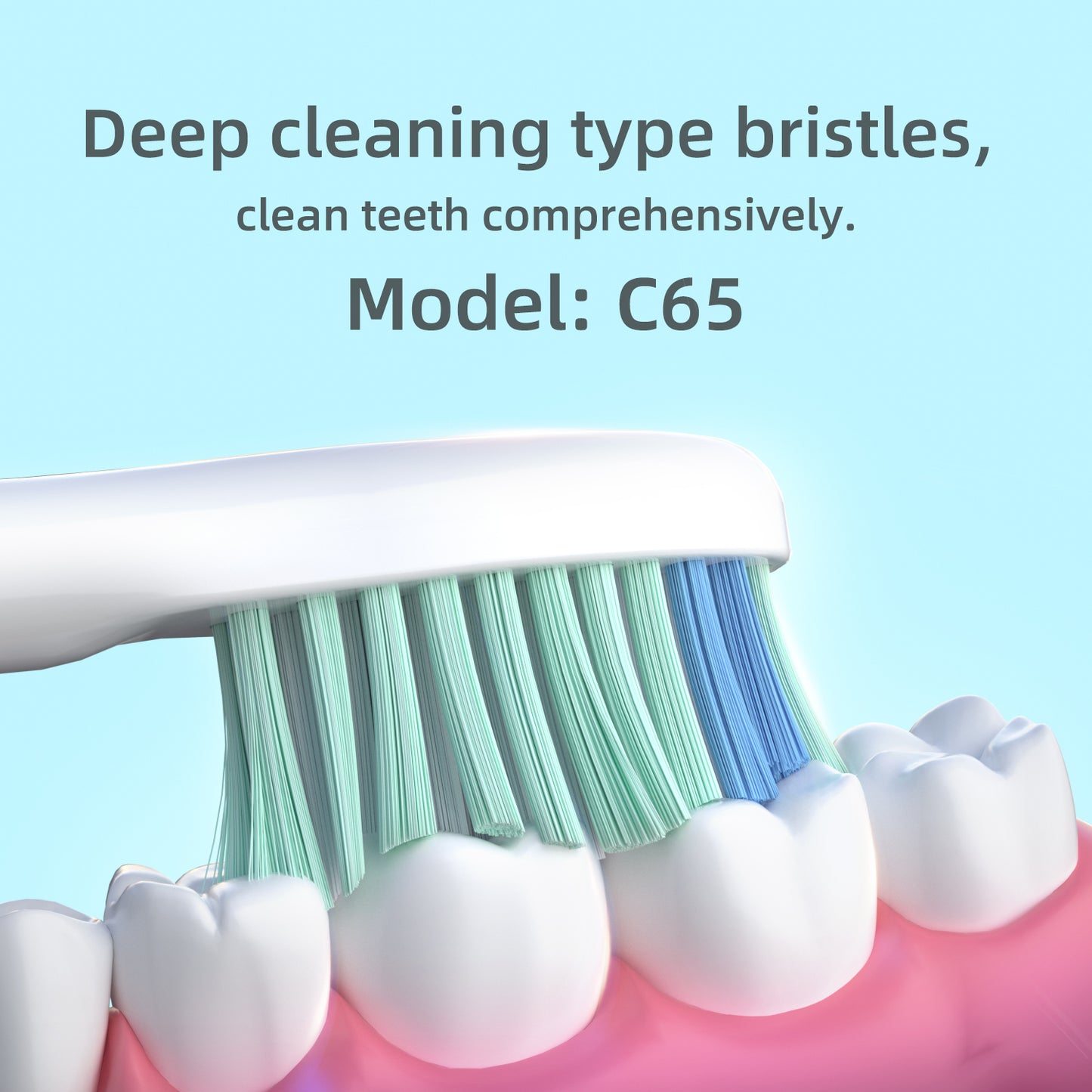 Brush Heads for CD-01, CD-07, CD-09, Oval Interface. (Please note whether the model name is the same as your old model before placing an order.)