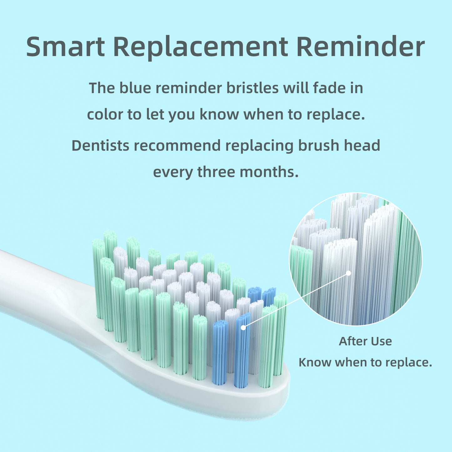 Brush Heads for CD-01, CD-07, CD-09, Oval Interface. (Please note whether the model name is the same as your old model before placing an order.)