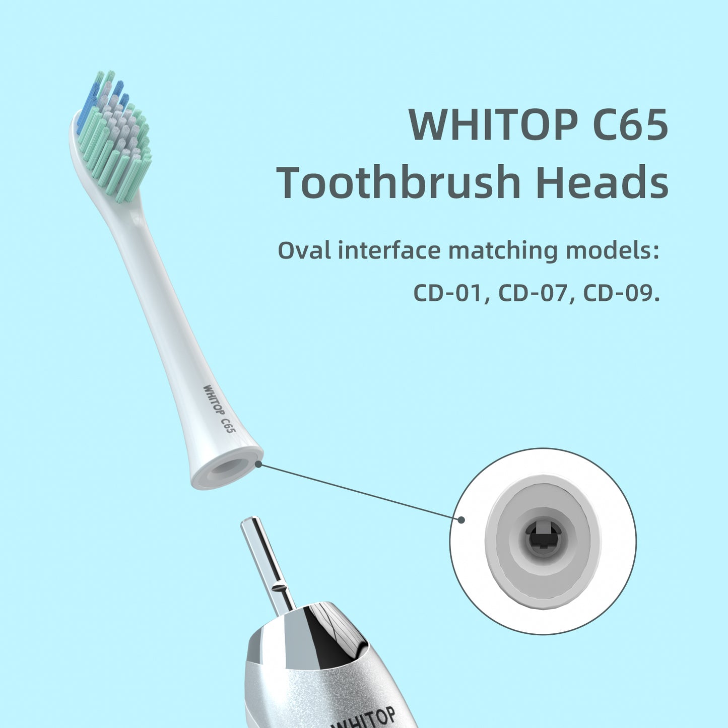 Brush Heads for CD-01, CD-07, CD-09, Oval Interface. (Please note whether the model name is the same as your old model before placing an order.)