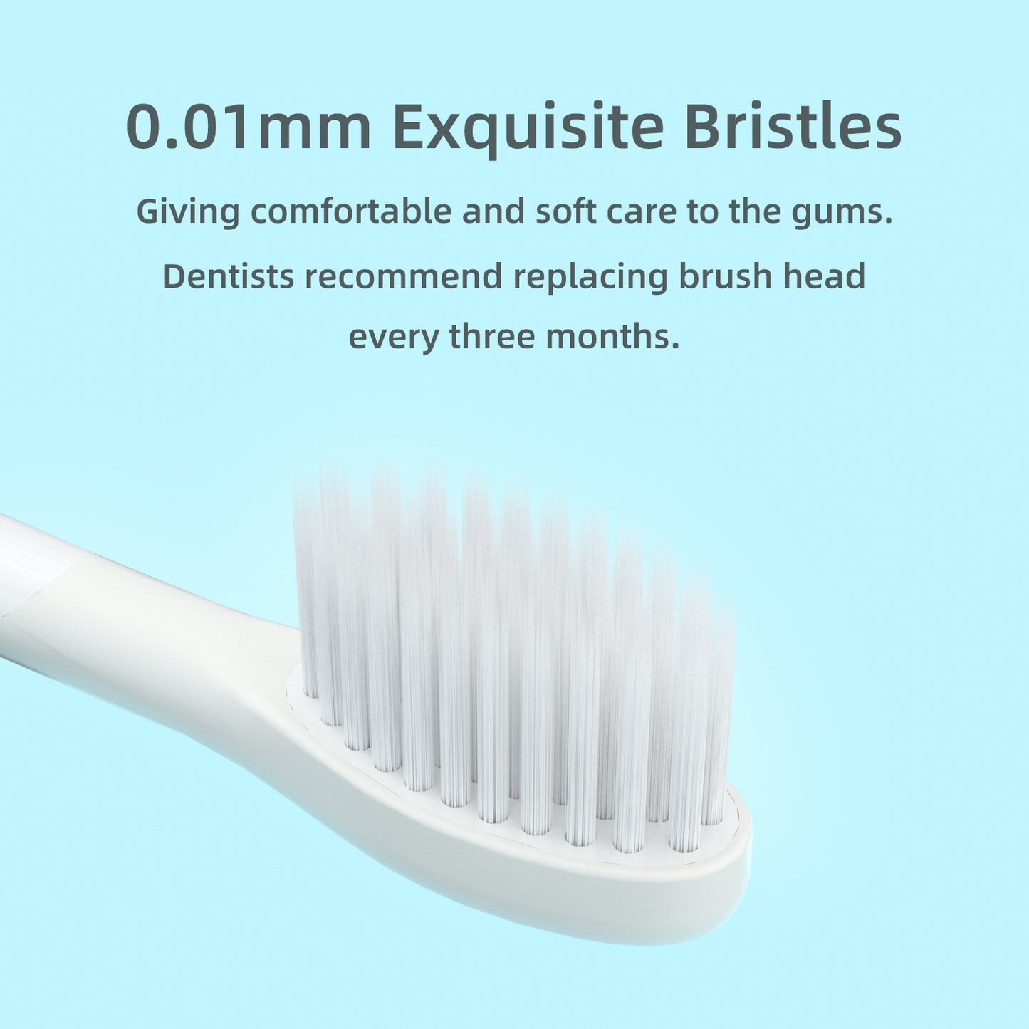 Brush Heads for CD-02, CD-04, CD-06, CD-10, CD-11, CD-13, CD-14, Round Interface. (Please note whether the model name is the same as your old model before placing an order.)
