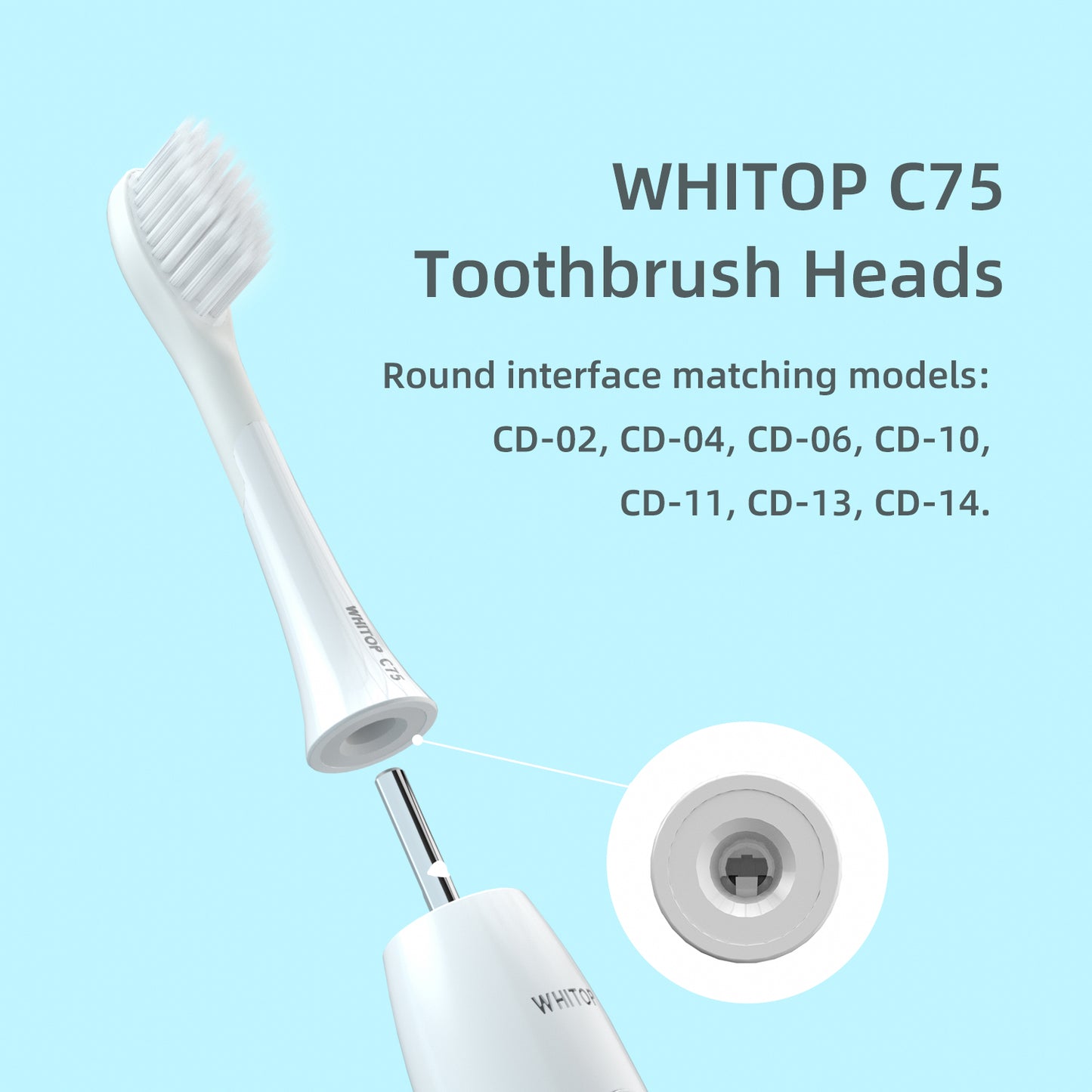 Brush Heads for CD-02, CD-04, CD-06, CD-10, CD-11, CD-13, CD-14, Round Interface. (Please note whether the model name is the same as your old model before placing an order.)