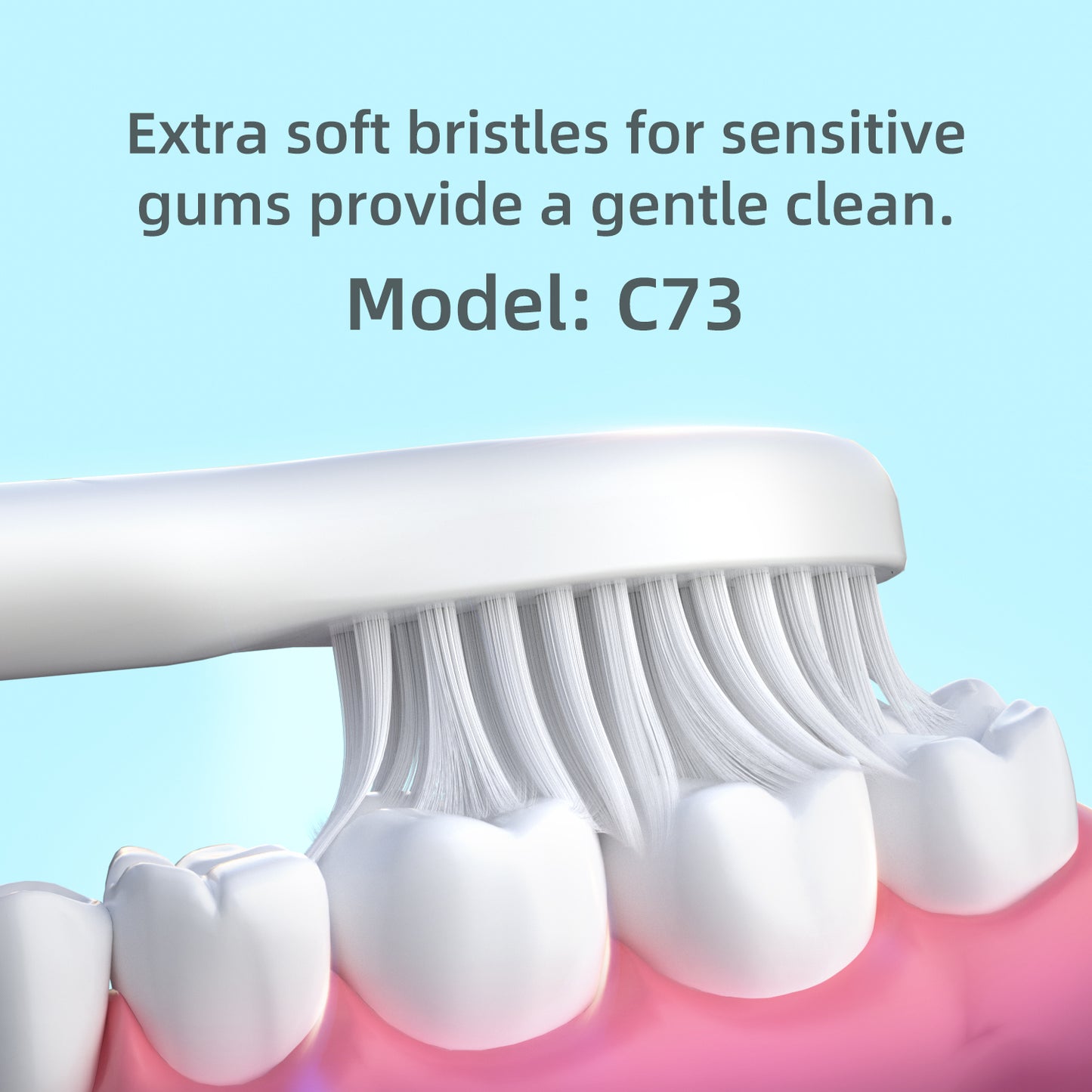 Brush Heads for CD-01, CD-07, CD-09, Oval Interface. (Please note whether the model name is the same as your old model before placing an order.)