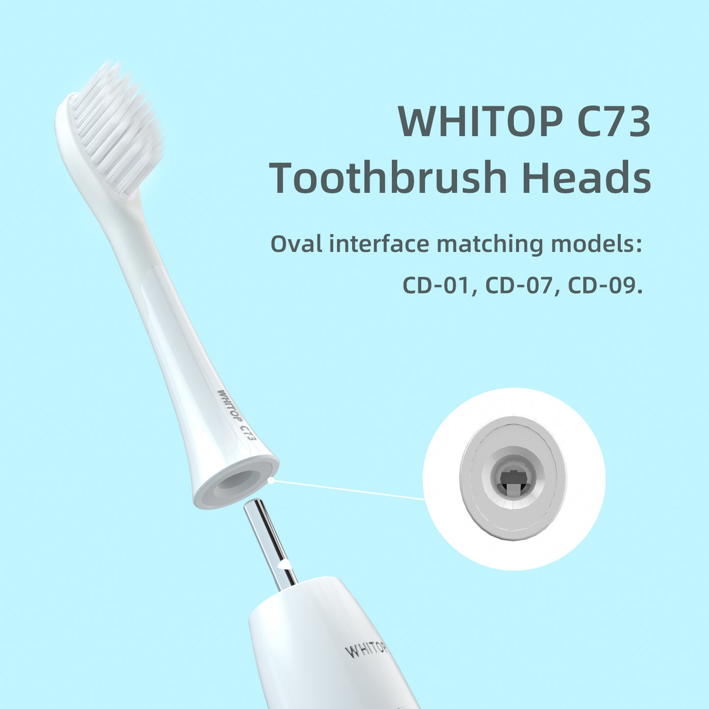 Brush Heads for CD-01, CD-07, CD-09, Oval Interface. (Please note whether the model name is the same as your old model before placing an order.)